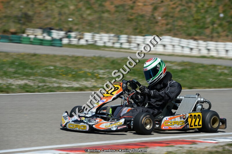 DSC_0241.jpg