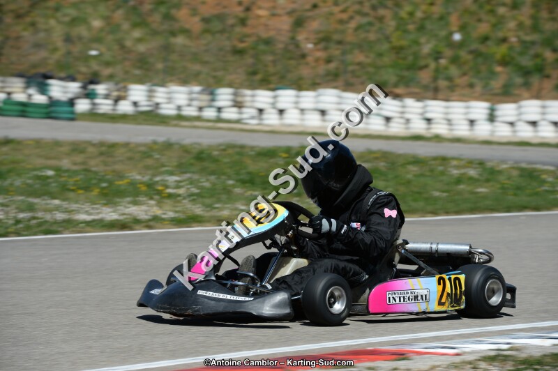 DSC_0248.jpg