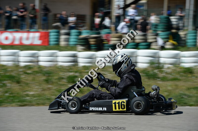 DSC_0262.jpg