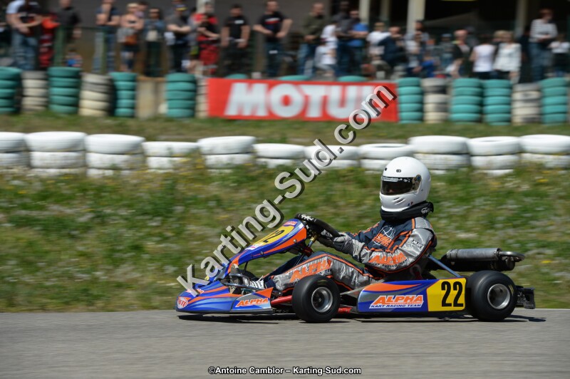 DSC_0295.jpg