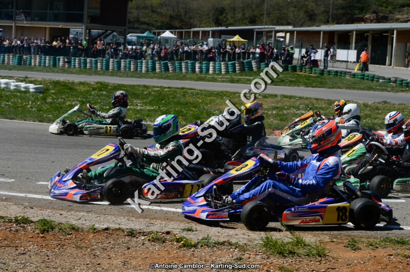 DSC_0353.jpg