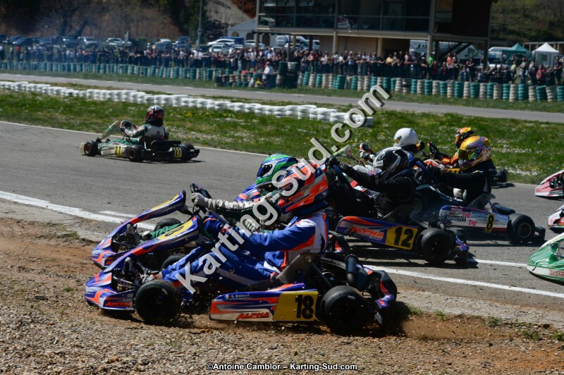 DSC_0354.jpg