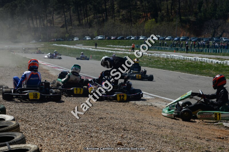 DSC_0359.jpg