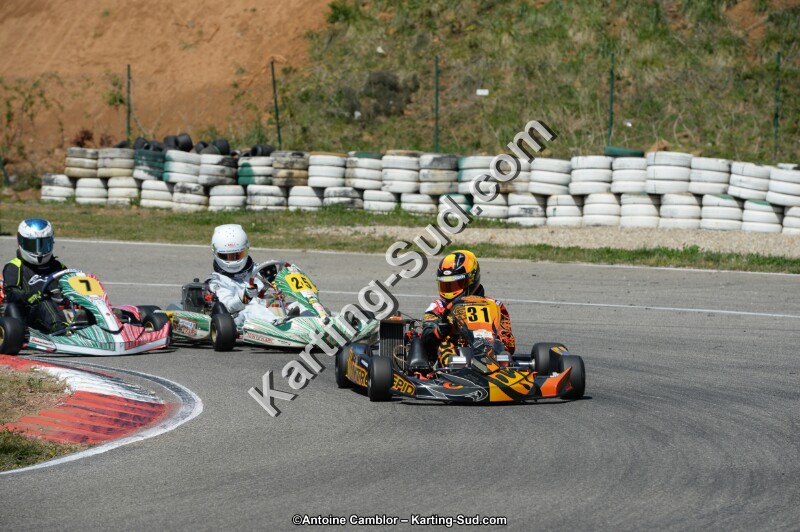 DSC_0377.jpg