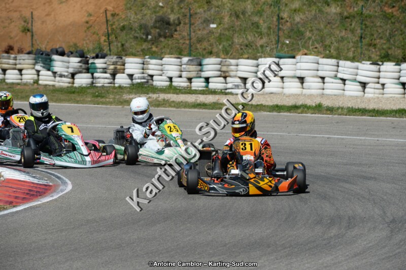 DSC_0378.jpg