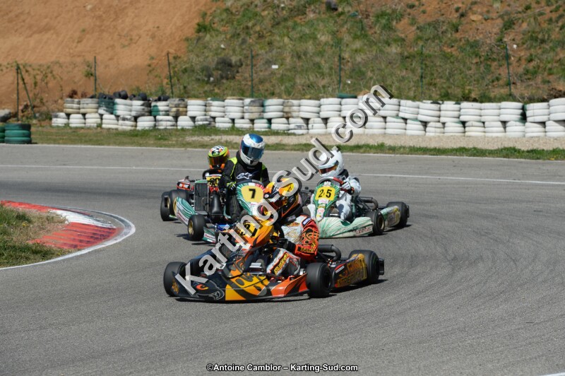 DSC_0379.jpg