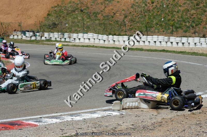 DSC_0382.jpg