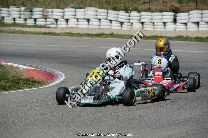 DSC_0401.jpg