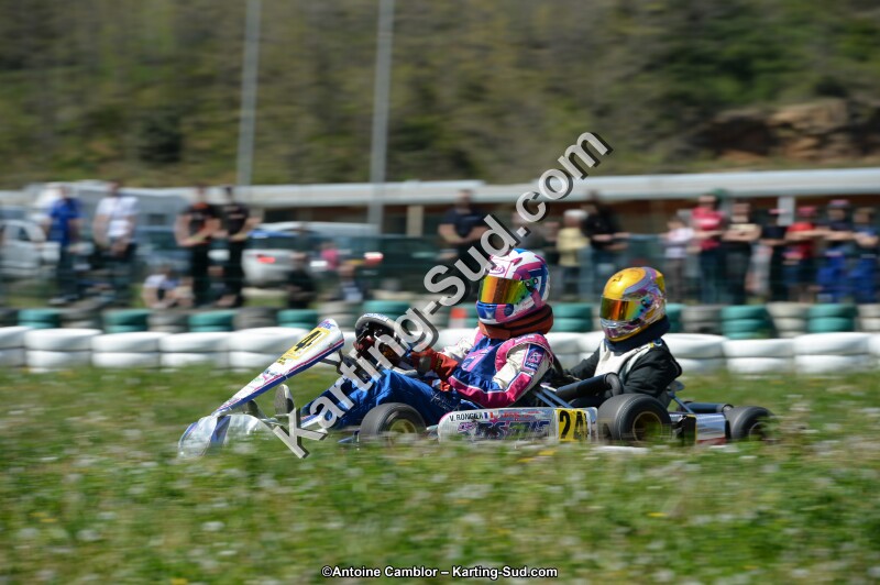 DSC_0446.jpg