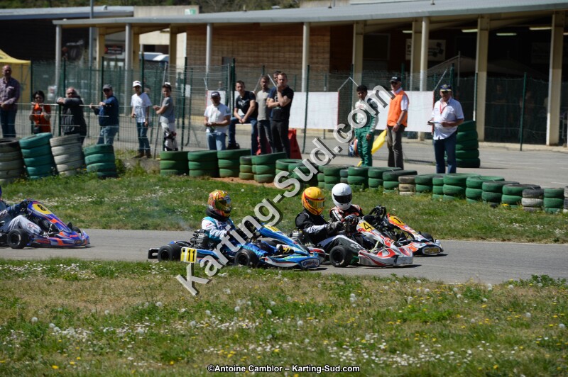 DSC_0520.jpg