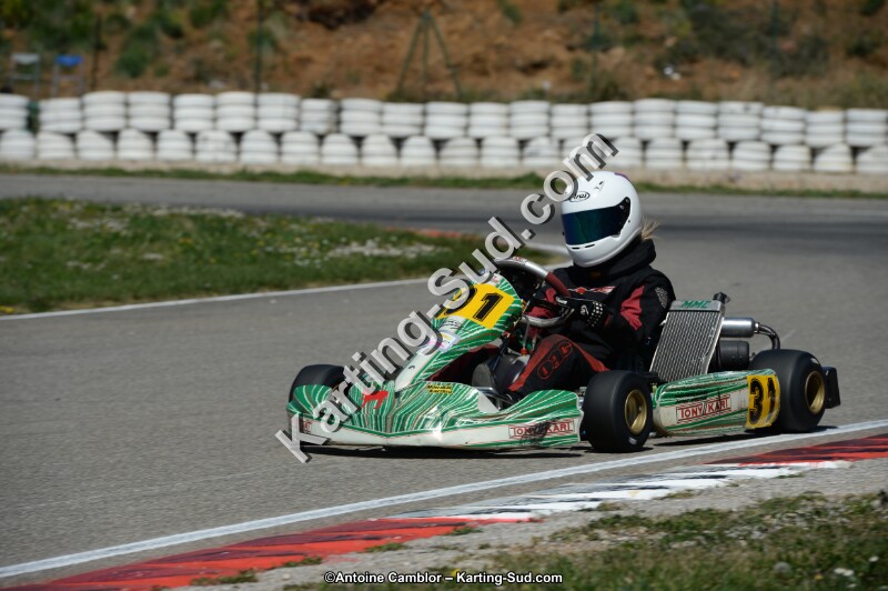DSC_0558.jpg