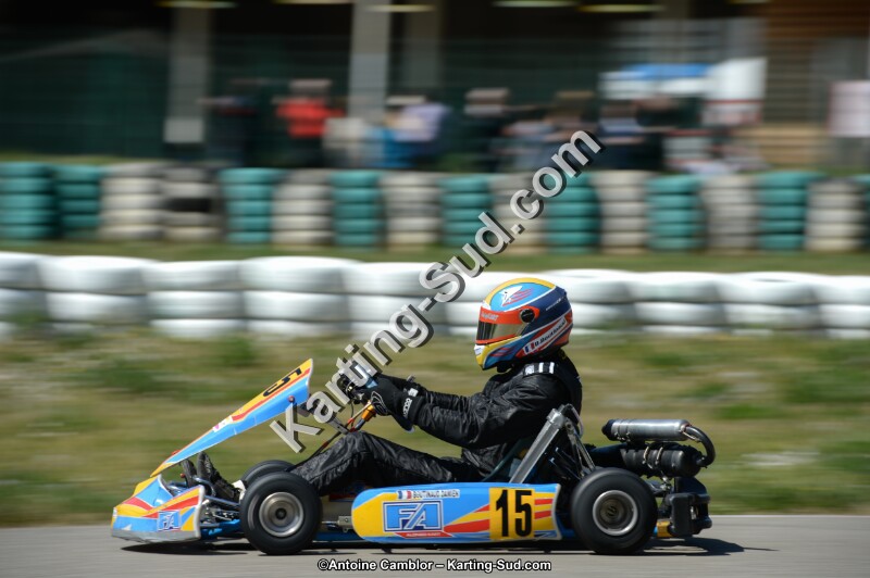 DSC_0611.jpg