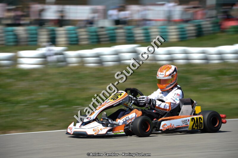 DSC_0659.jpg