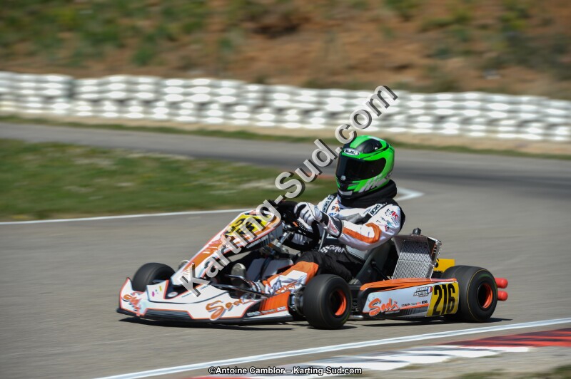DSC_0699.jpg