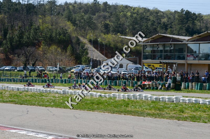 DSC_0705.jpg