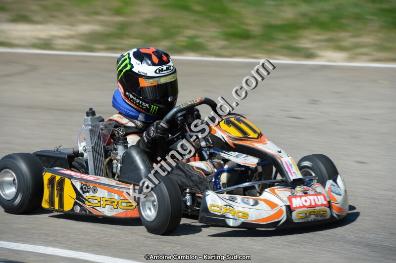 DSC_0768.jpg