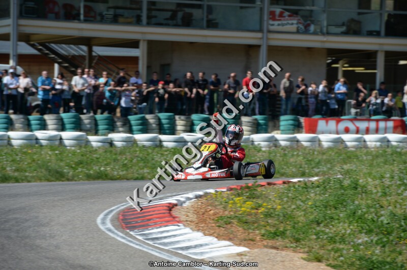 DSC_0774.jpg