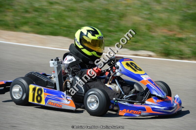 DSC_0780.jpg