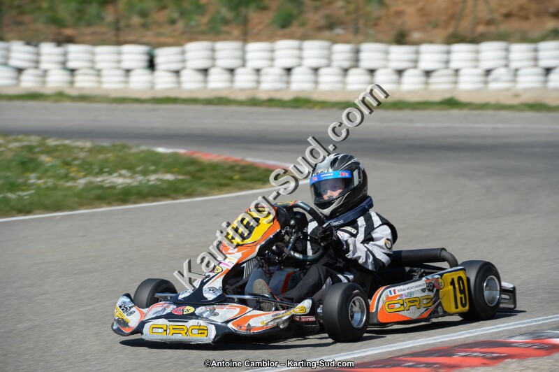 DSC_0803.jpg