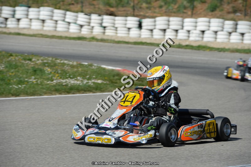 DSC_0812.jpg