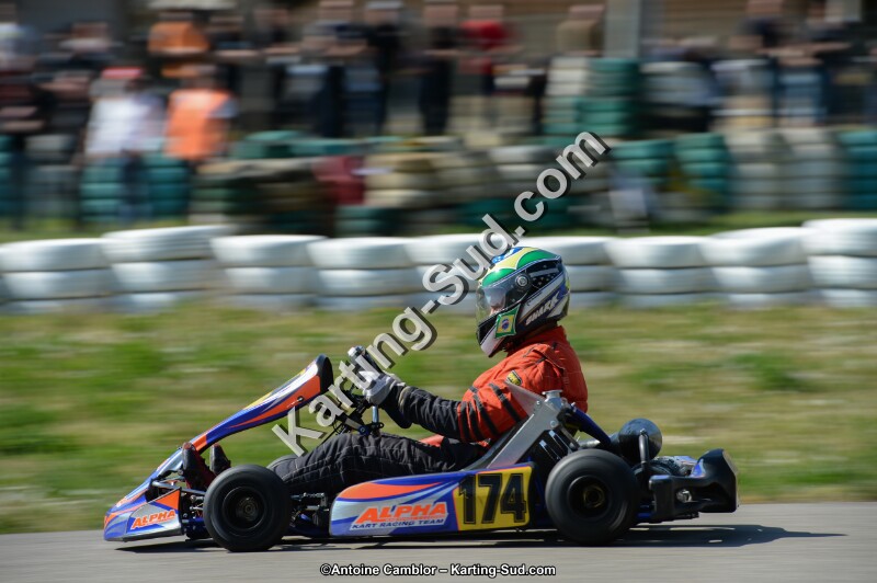 DSC_0930.jpg