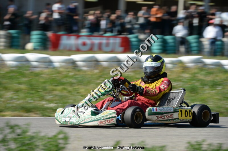 DSC_0946.jpg