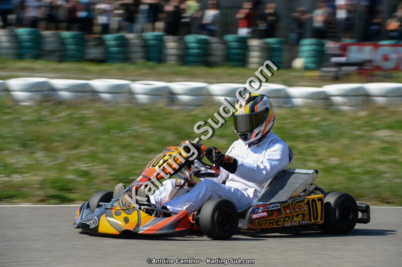 DSC_0954.jpg
