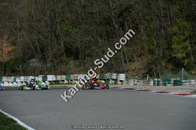 DSC_0982.jpg