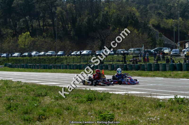 DSC_1087.jpg