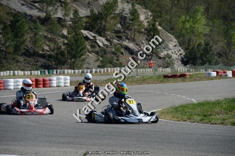 DSC_1131.jpg