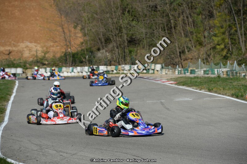 DSC_1134.jpg