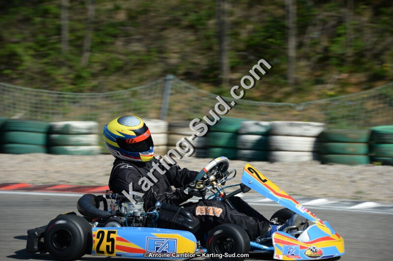 DSC_1178.jpg
