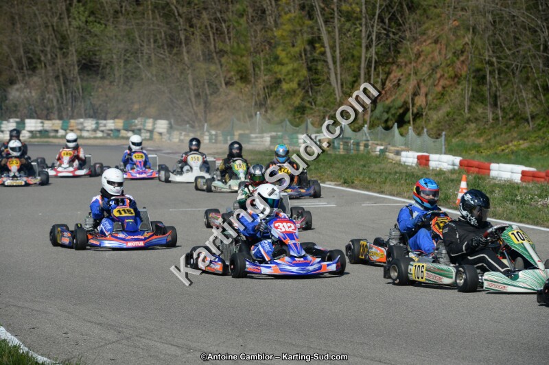 DSC_1217.jpg
