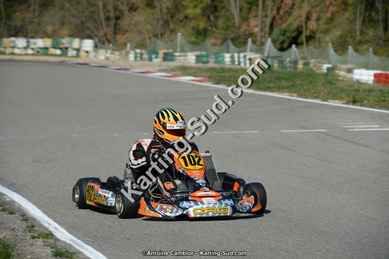 DSC_1290.jpg