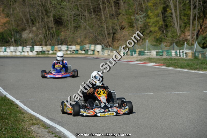 DSC_1296.jpg