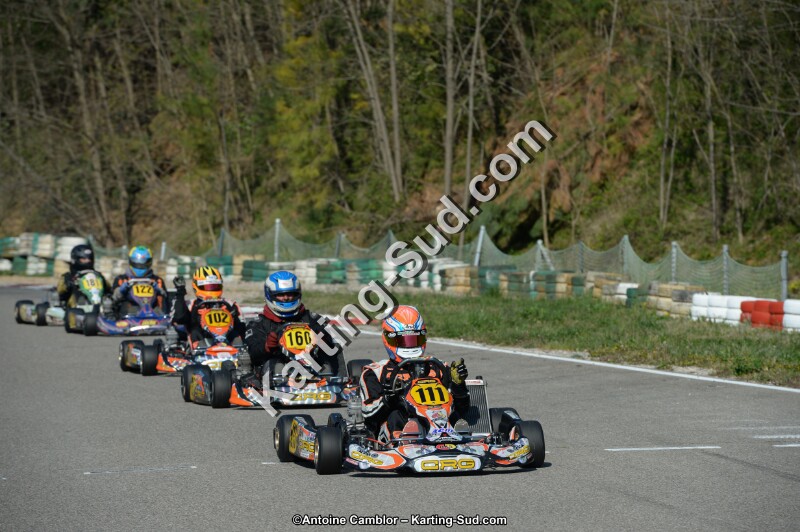 DSC_1305.jpg