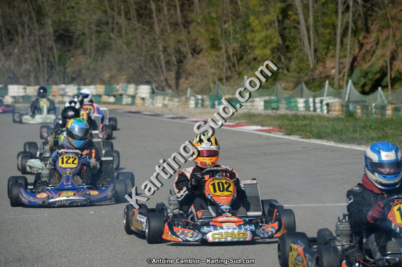 DSC_1310.jpg