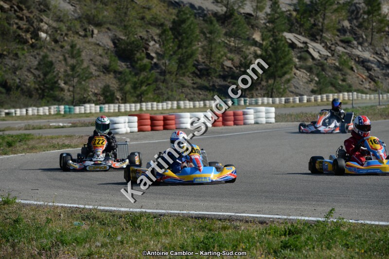 DSC_1334.jpg