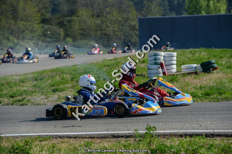 DSC_1335.jpg