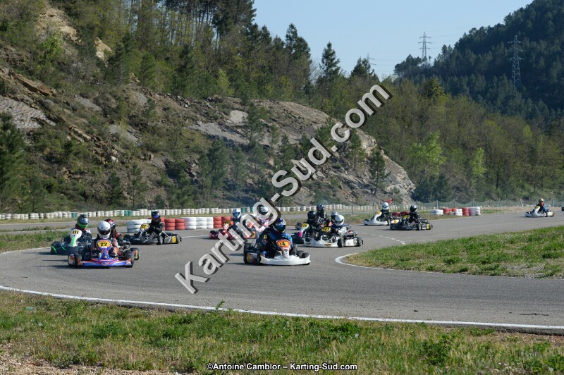 DSC_1337.jpg