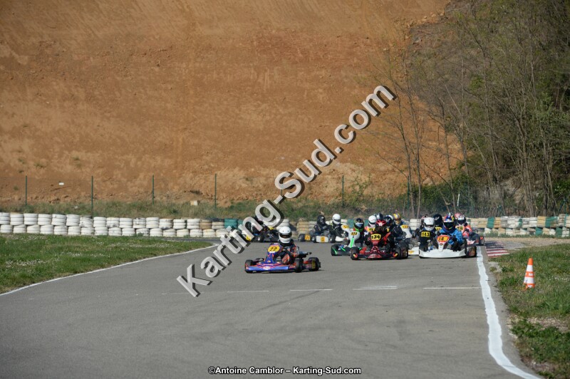 DSC_1342.jpg