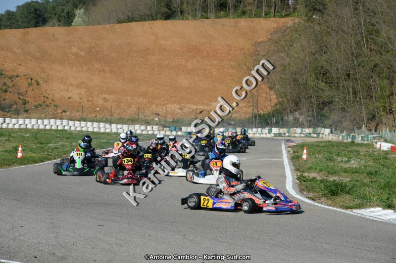 DSC_1343.jpg