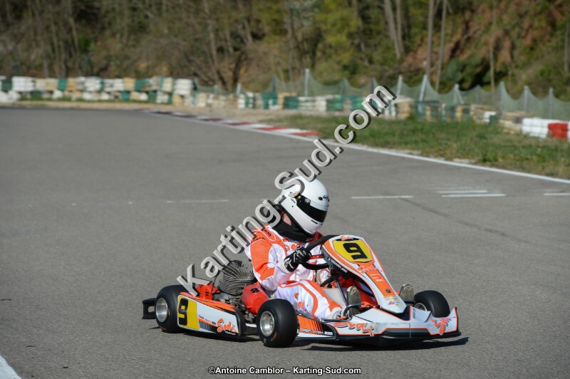 DSC_1371.jpg