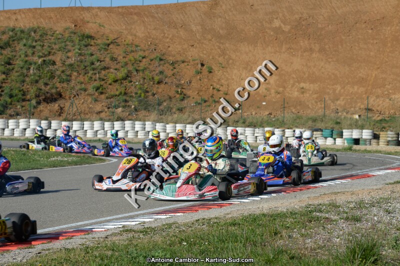 DSC_1499.jpg