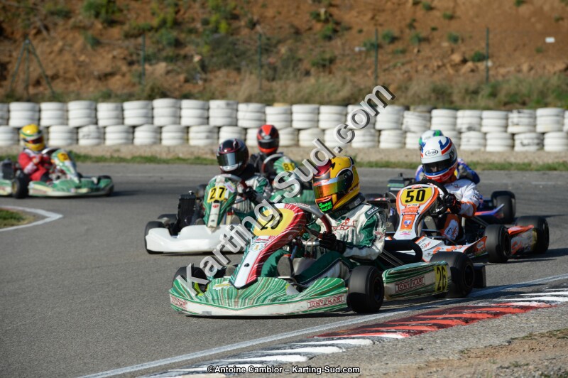 DSC_1510.jpg