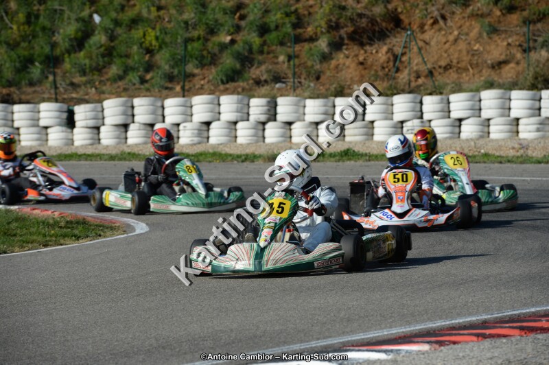 DSC_1529.jpg
