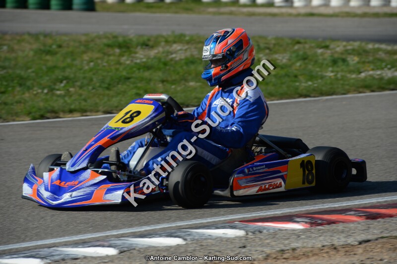 DSC_1534.jpg