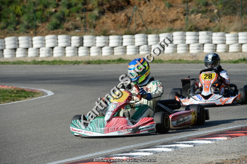 DSC_1538.jpg