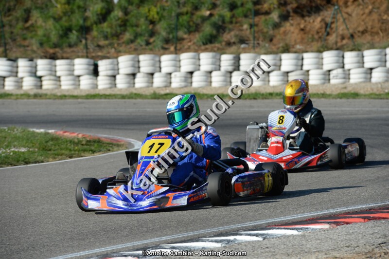 DSC_1553.jpg