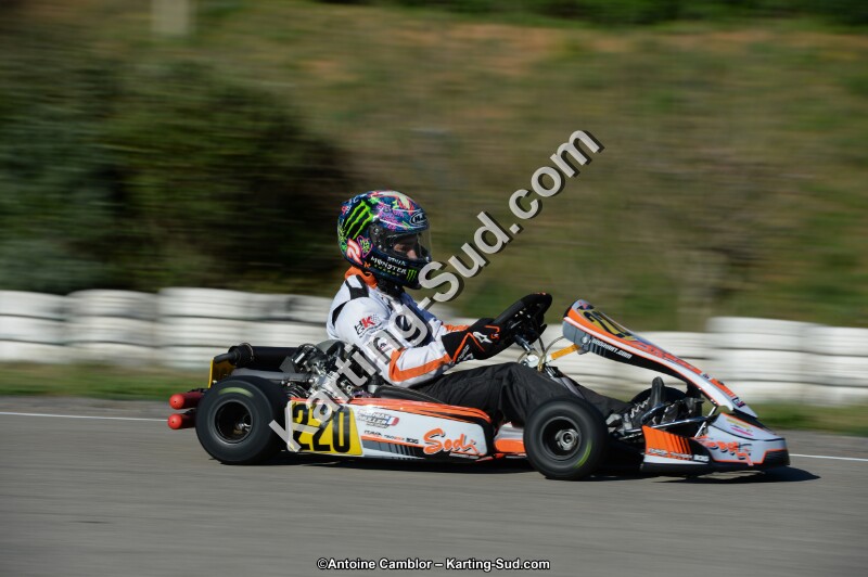 DSC_5882.jpg